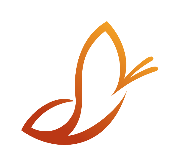 The Ubuntu Journey